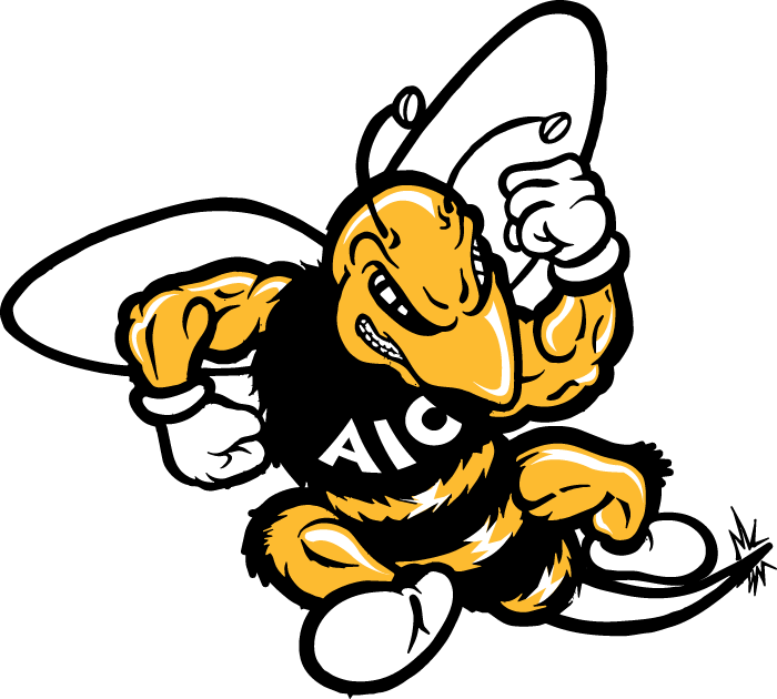 AIC Yellow Jackets 2001-2008 Primary Logo diy DTF decal sticker